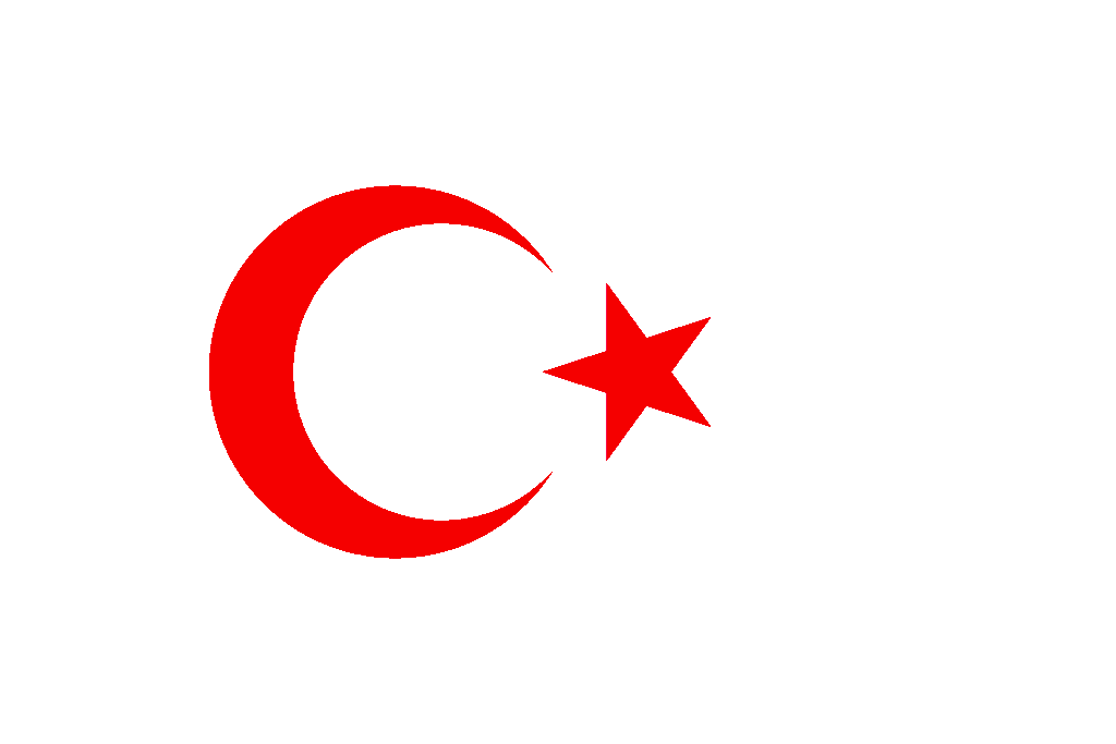 turkistan flag.png