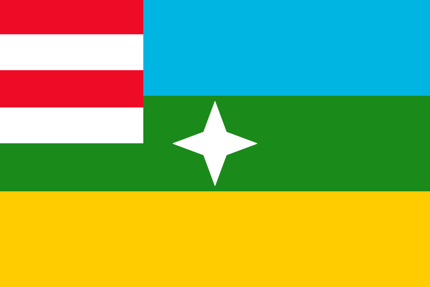 United Allied States (8).png