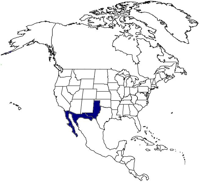 US MAP.JPG