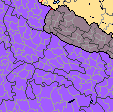 uttar pradesh 2.png