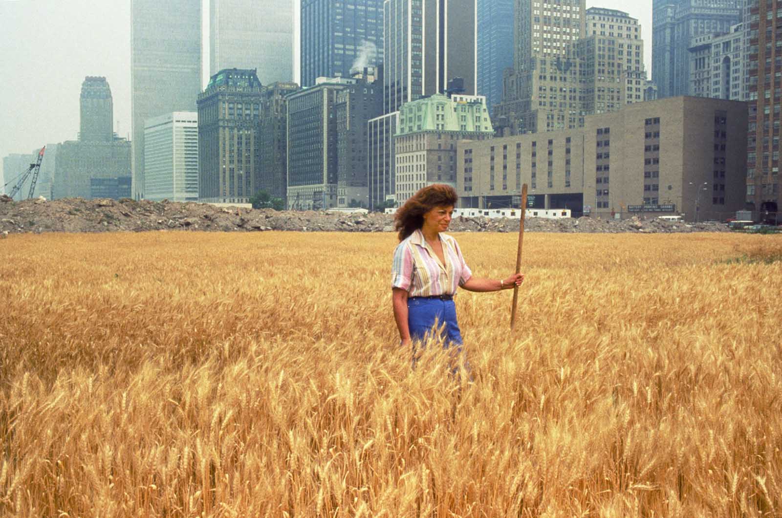 Wheatfield_in_Manhattan (1).jpg