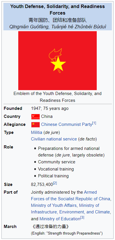 youth defense, solidarity, and readiness forces ib.png