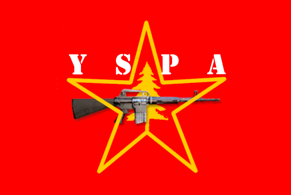 yspa_flag.png