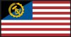 USAR flag.jpg