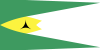Jamaican Flag 22.png