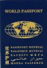 world-passport-cover-400.jpg