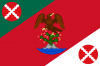 Venocara flag no 1 _ FG.png