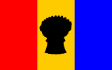 Flag-Tricolour_RYB_w_sheaf_of_corn_silh-for_Nathan_Bernacki-FG.png