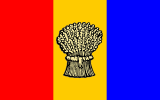 Flag-Tricolour_RYB_w_sheaf_of_corn-for_Nathan_Bernacki-FG.png