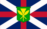flag (11).png