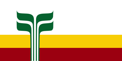 400px-Flag_of_the_Franco-Manitobains.svg.png
