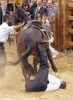 Erdogan_falls_off_horse.jpg
