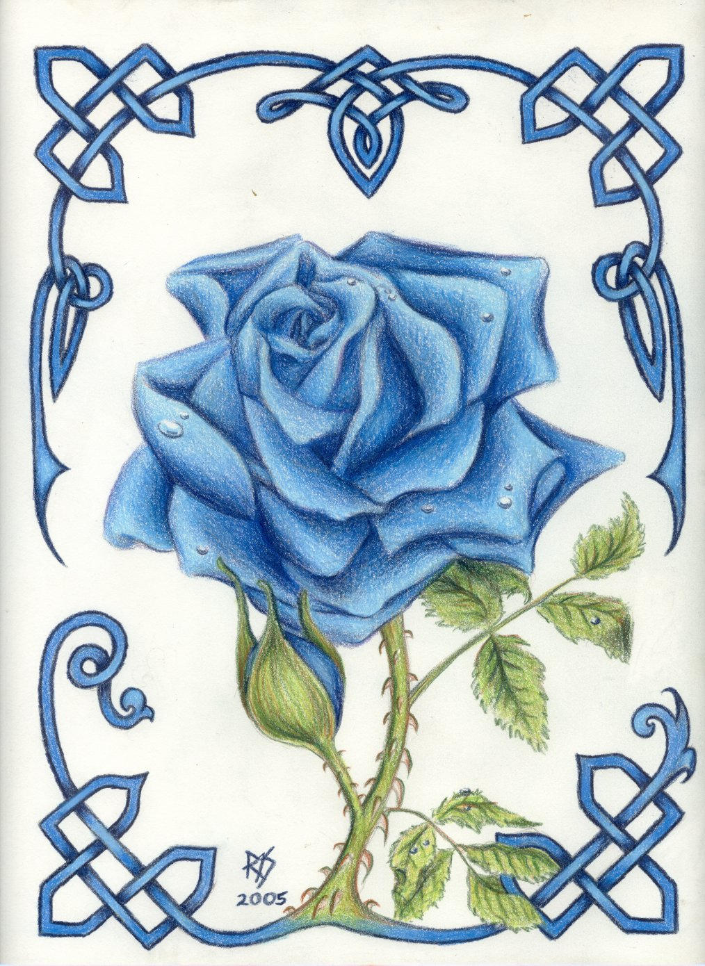 Blue_Rose_by_robertsloan2.jpg