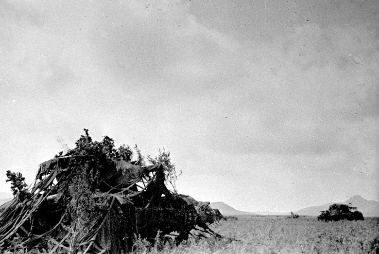 Battle_of_Lake_Khasan-Camouflaged_soviet_tanks.jpg