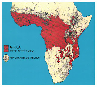 Map+of+Africa.jpg