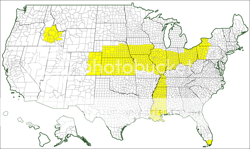 USA_counties_BlankWorldwar-1.png