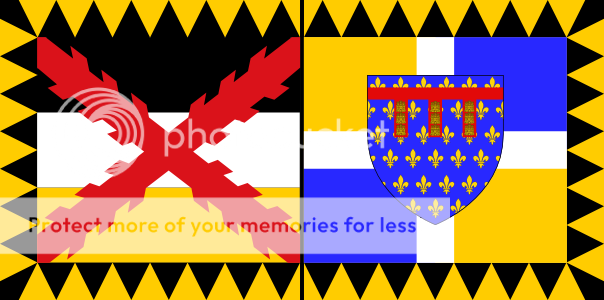 RegimentalFlag-1steRegimentvanArtesiFrans.png