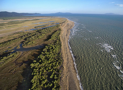 ombrone_river_delta_opaxir.jpg