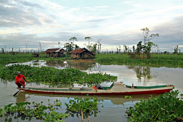 agusan-marsh.jpg